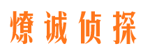 平原市调查公司